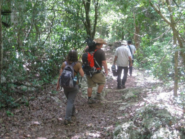  Recording and photographic safaris 